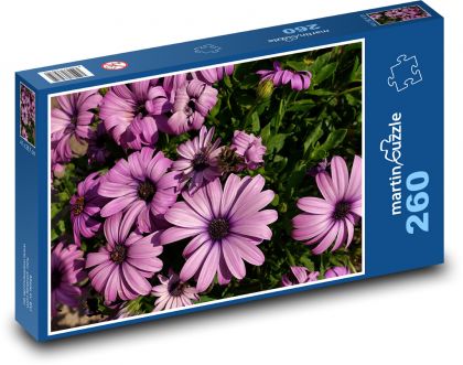 Gerbera - nachový květ, léto - Puzzle 260 dílků, rozměr 41x28,7 cm