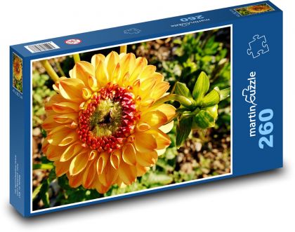 Gelbe Dahlie - Blume, Pflanze - Puzzle - 260 Teile