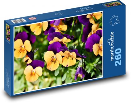 Maceška - jar, kvet - Puzzle 260 dielikov, rozmer 41x28,7 cm