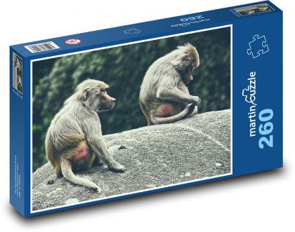 Paviáni - opice, zoo - Puzzle 260 dílků, rozměr 41x28,7 cm