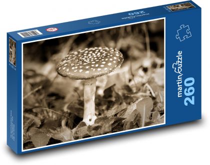 Muchomůrka - les, houba - Puzzle 260 dílků, rozměr 41x28,7 cm