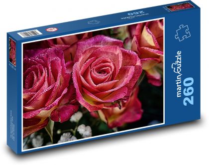 Rose - flower, nature - Puzzle 260 pieces, size 41x28.7 cm 