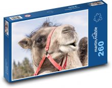 Kamel - Tier, Säugetier Puzzle 260 Teile - 41 x28,7 cm