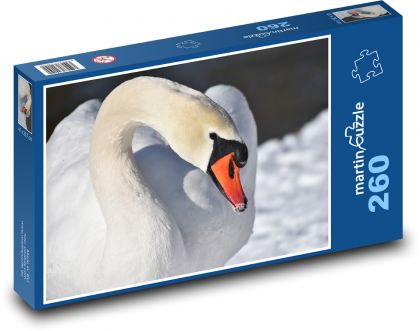 Swan - water bird, winter - Puzzle 260 pieces, size 41x28.7 cm 