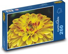 Gelbe Dahlie - Gartenblume Puzzle 260 Teile - 41 x28,7 cm
