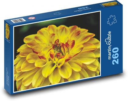 Yellow Dahlia - Garden Flower - Puzzle 260 pieces, size 41x28.7 cm 