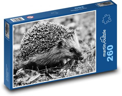 Ježek, noční zvíře - puzzle 260 dílků