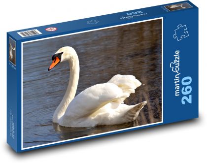Swan - water bird, animal - Puzzle 260 pieces, size 41x28.7 cm 