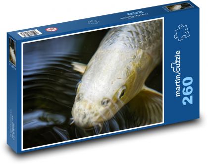 Koi - exotický kapr, ryba - Puzzle 260 dílků, rozměr 41x28,7 cm