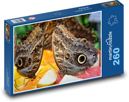 Banánový motýl - hmyz, zvíře - Puzzle 260 dílků, rozměr 41x28,7 cm