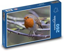 Rudzik - ptak, zwierzę Puzzle 260 elementów - 41x28,7 cm