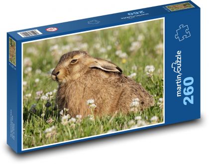 Króliczek na łące - Puzzle 260 elementów, rozmiar 41x28,7 cm