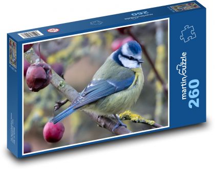 Tit - bird, nature - Puzzle 260 pieces, size 41x28.7 cm 