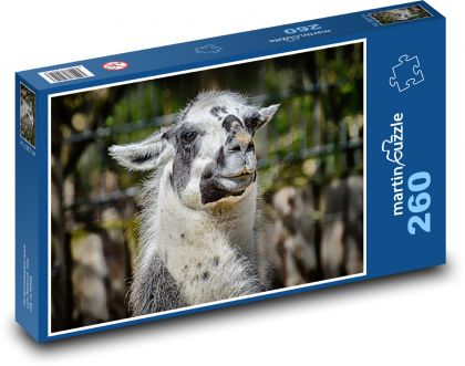 Lama - animal, zoo - Puzzle 260 pieces, size 41x28.7 cm 