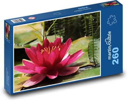 Lilia wodna - fioletowy kwiat - Puzzle 260 elementów, rozmiar 41x28,7 cm