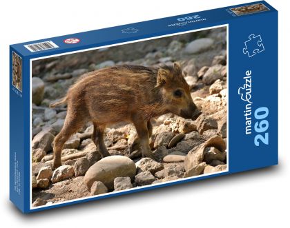 Wildschwein - Ferkel, Schwein - Puzzle - 260 Teile