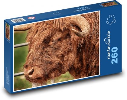 Býk - rohy, zvíře - Puzzle 260 dílků, rozměr 41x28,7 cm