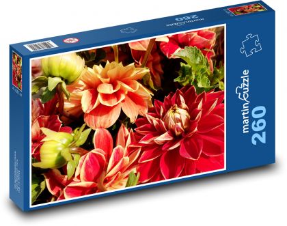 Dahlias - kvety, záhrada - Puzzle 260 dielikov, rozmer 41x28,7 cm