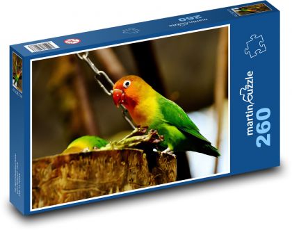 Colorful parrot - Puzzle 260 pieces, size 41x28.7 cm 
