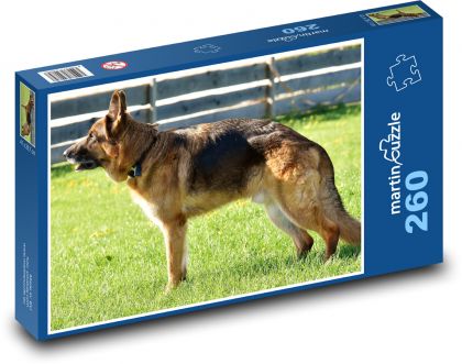 Nemecký ovčiak - pes, domáce zviera - Puzzle 260 dielikov, rozmer 41x28,7 cm