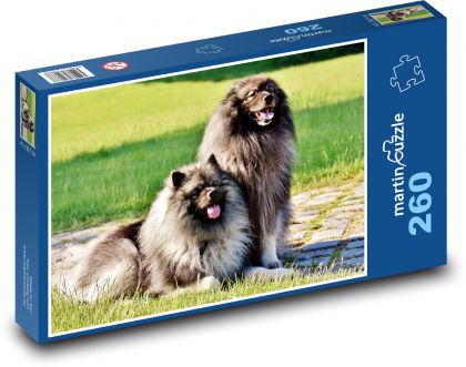 Špic - pes, domácí zvíře - Puzzle 260 dílků, rozměr 41x28,7 cm