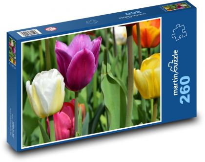 Tulipány - květ, jaro - Puzzle 260 dílků, rozměr 41x28,7 cm