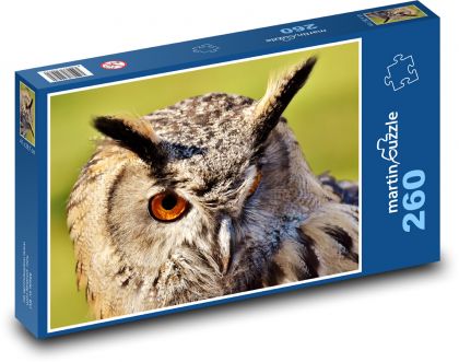 Sova - vták, zviera - Puzzle 260 dielikov, rozmer 41x28,7 cm
