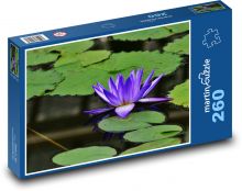 Seerose - Teich, Wasser Puzzle 260 Teile - 41 x28,7 cm