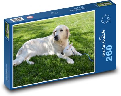 Golden retriever and rabbit in the garden - Puzzle 260 pieces, size 41x28.7 cm 