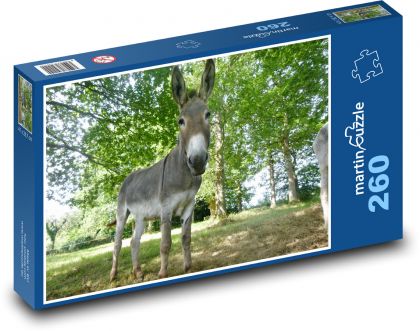 Osel - savec, zvíře - Puzzle 260 dílků, rozměr 41x28,7 cm