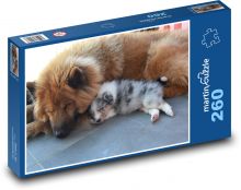 Sheltie - pes, šteniatko Puzzle 260 dielikov - 41 x 28,7 cm 