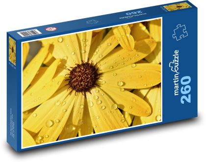 Okvětní lístky - květiny  - Puzzle 260 dílků, rozměr 41x28,7 cm