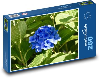 Hortenzia - kvetina, záhrada - Puzzle 260 dielikov, rozmer 41x28,7 cm