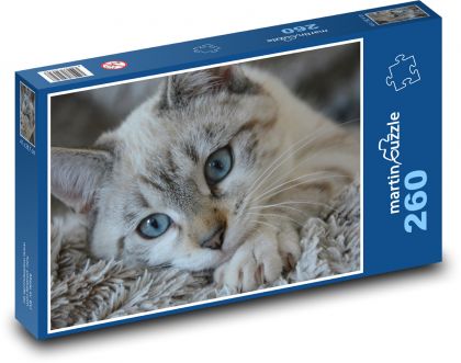 Kočka, kotě, domácí mazlíček - Puzzle 260 dílků, rozměr 41x28,7 cm