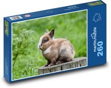 Zakrslý králík - králíček, mazlíček Puzzle 260 dílků - 41 x 28,7 cm