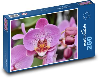 Ružová orchidea - kvetina, kvet - Puzzle 260 dielikov, rozmer 41x28,7 cm