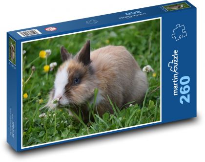Królik w trawie - Puzzle 260 elementów, rozmiar 41x28,7 cm