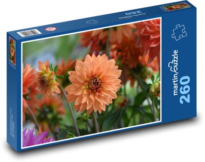 Jiřina - oranžový kvet, kvetina - Puzzle 260 dielikov, rozmer 41x28,7 cm