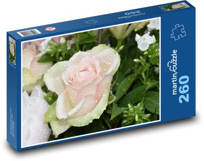 Rosa Rose - Wassertropfen, Blume - Puzzle - 260 Teile