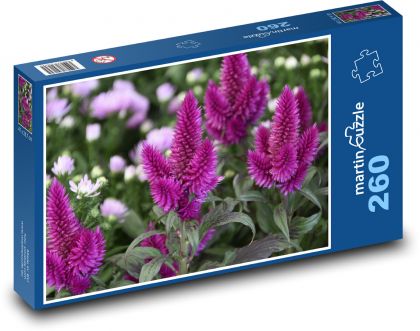 Fioletowy kwiat - najeźdźca, ogród - Puzzle 260 elementów, rozmiar 41x28,7 cm