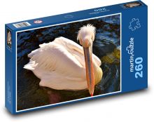 Pelikán - pták, zvíře Puzzle 260 dílků - 41 x 28,7 cm