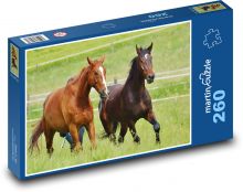Koně - hřebec, zvířata Puzzle 260 dílků - 41 x 28,7 cm
