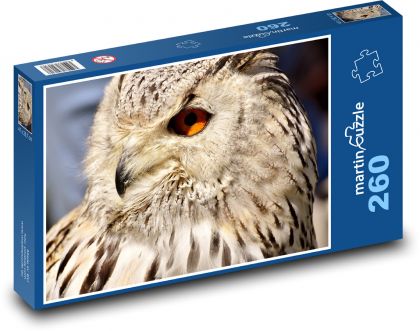 Owl - bird, animal - Puzzle 260 pieces, size 41x28.7 cm 