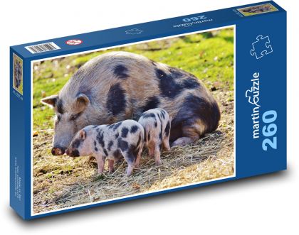Pig - piglet, cubs - Puzzle 260 pieces, size 41x28.7 cm 