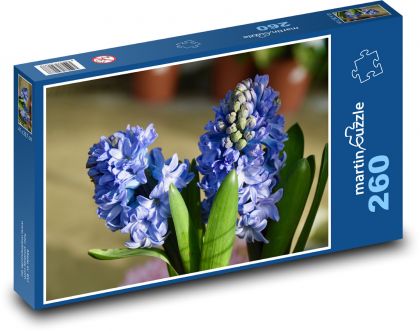 Hyacint - modrý květ, zahrada - Puzzle 260 dílků, rozměr 41x28,7 cm