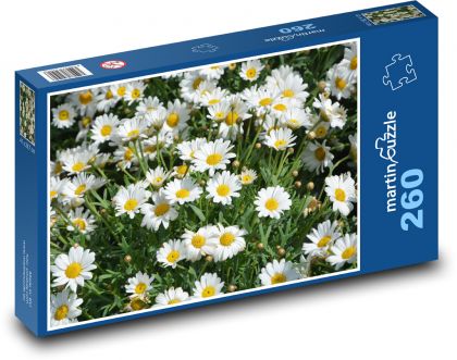 Sedmikrásky - louka, bílé květy - Puzzle 260 dílků, rozměr 41x28,7 cm