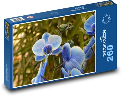 Orchidee - blaue Blume, Blüte - Puzzle - 260 Teile