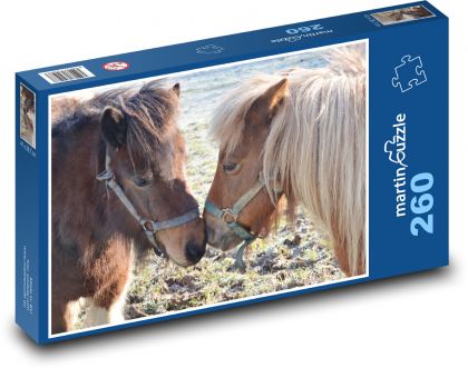 Shetlandpony, Tier - Puzzle - 260 Teile