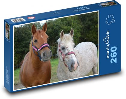 Klacz - koń, zwierzęta - Puzzle 260 elementów, rozmiar 41x28,7 cm