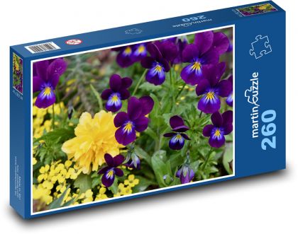 Fialky - kvety, fialové kvety - Puzzle 260 dielikov, rozmer 41x28,7 cm